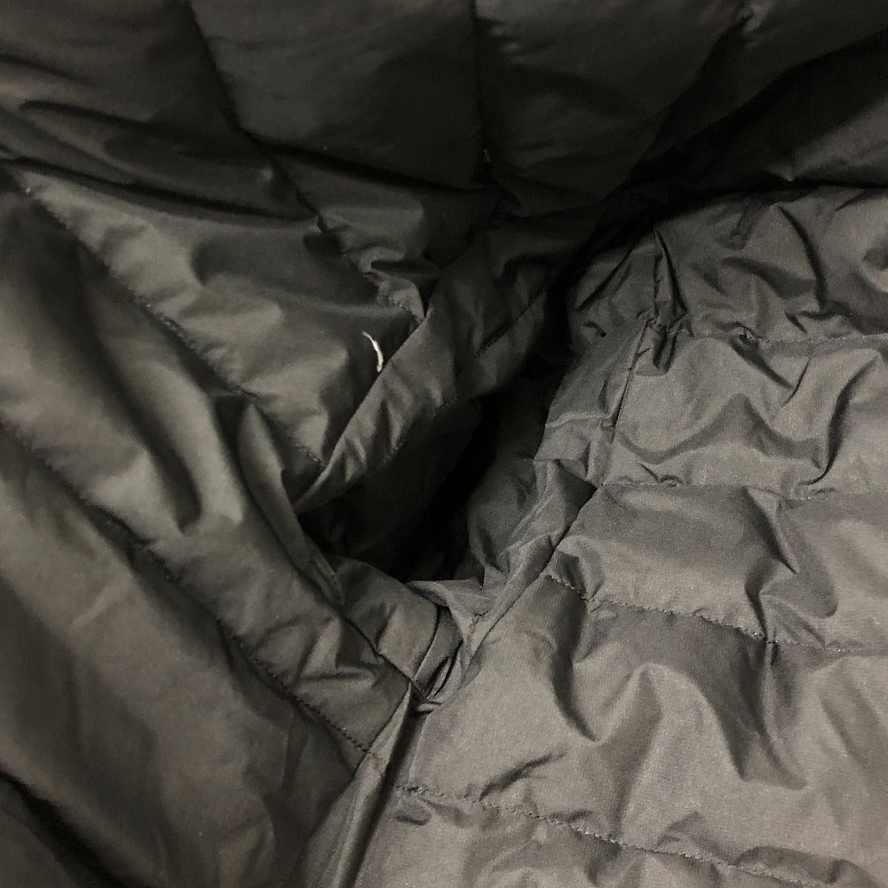 THE NORTH FACE オルタレーション シエラ アパレル アウター ダウン ジャケット ナイロン ユニセックス ブラック