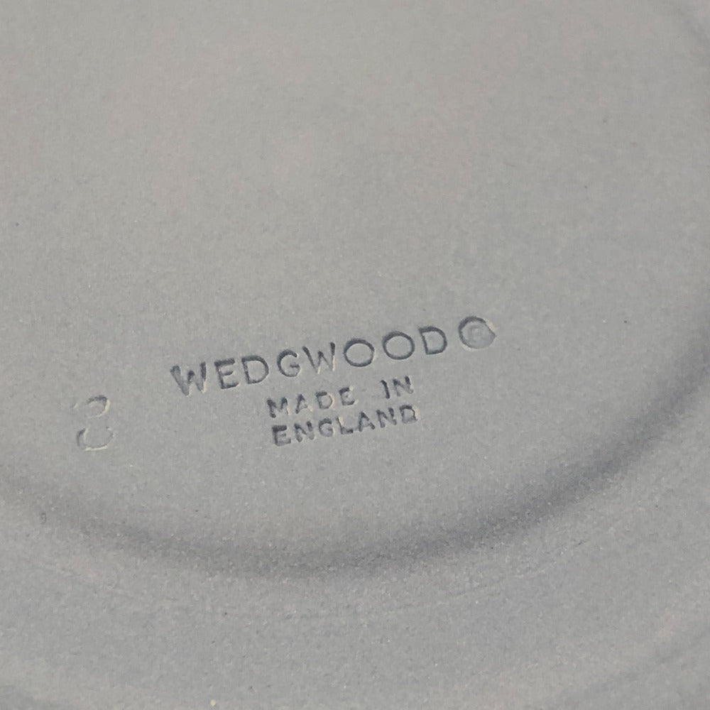 WEDGWOOD Jasper Dinnerware Cup & Saucer Teacup Ceramic Unisex Blue