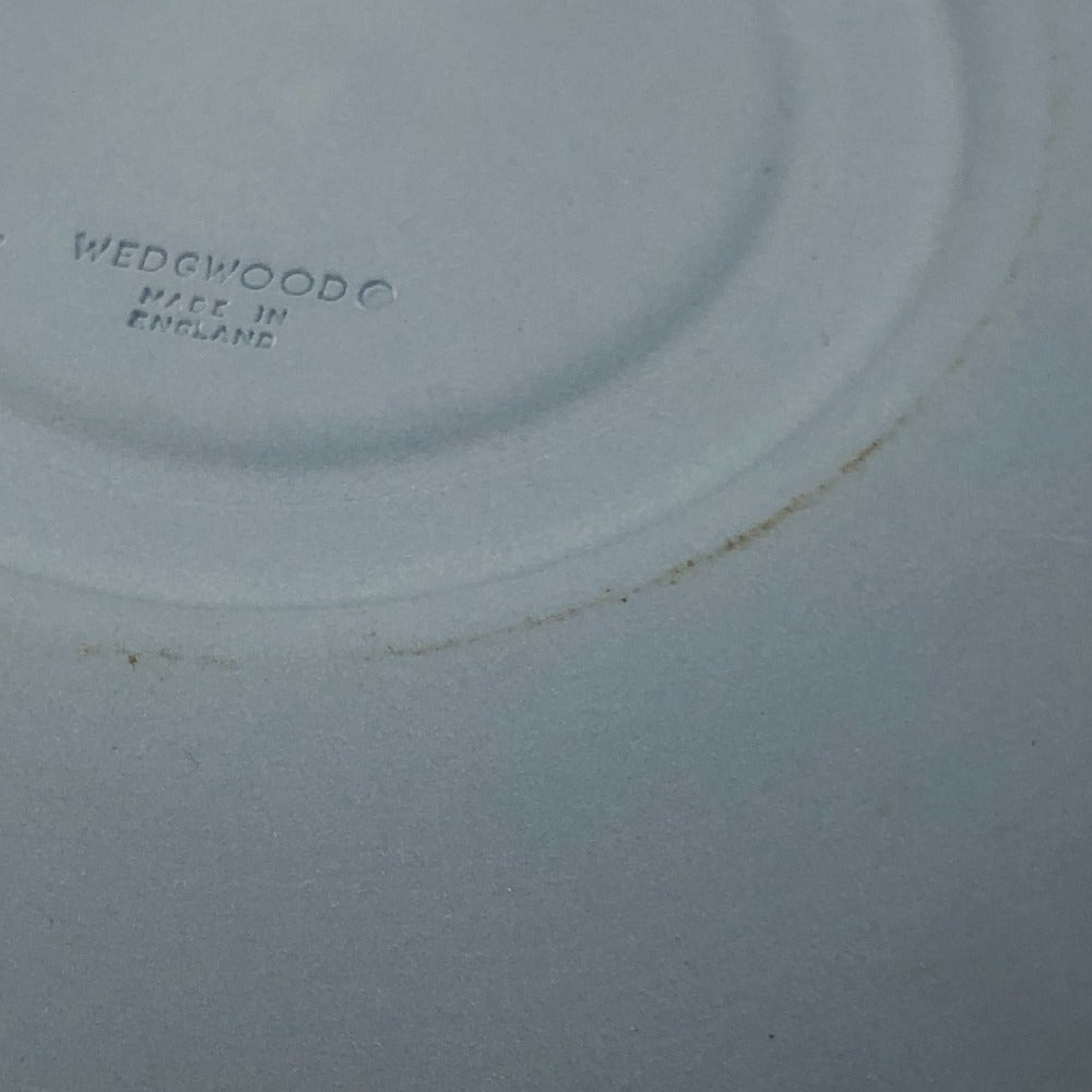 WEDGWOOD Jasper Dinnerware Cup & Saucer Teacup Ceramic Unisex Blue