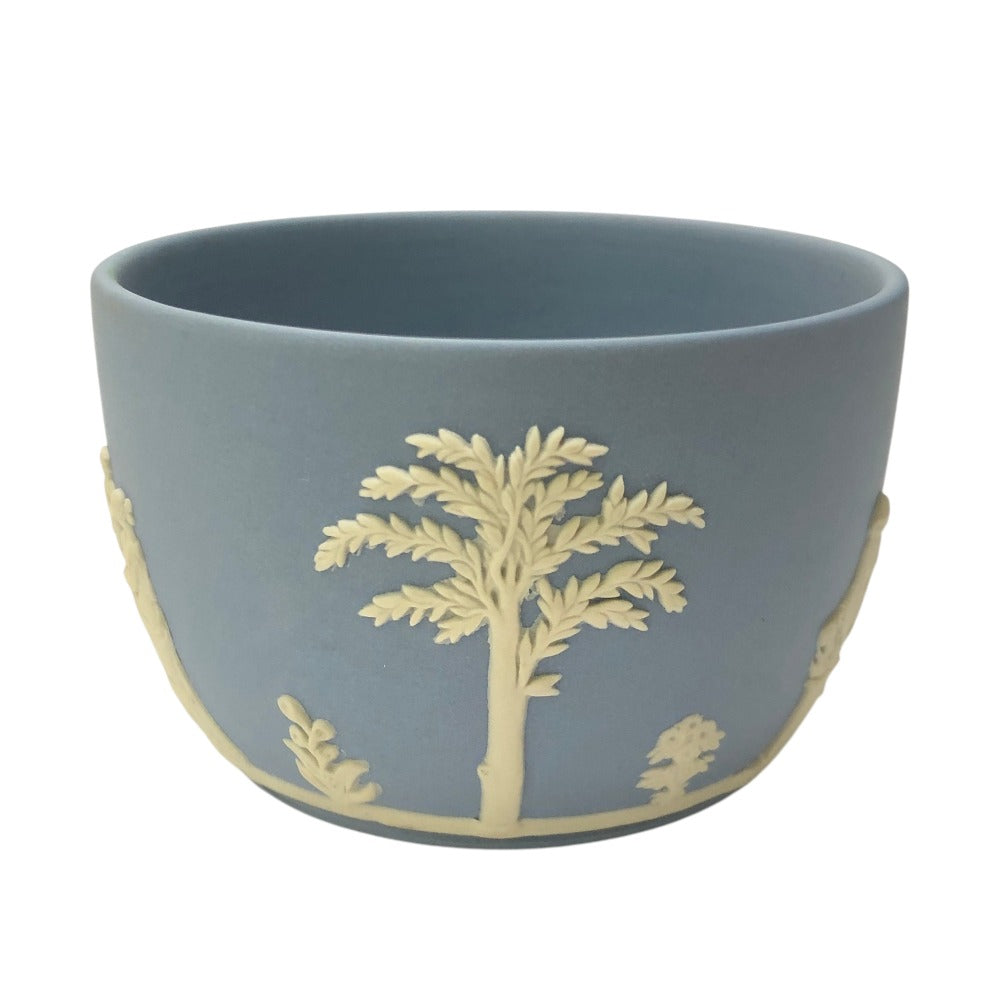 WEDGWOOD Jasper Dinnerware Cup & Saucer Teacup Ceramic Unisex Blue