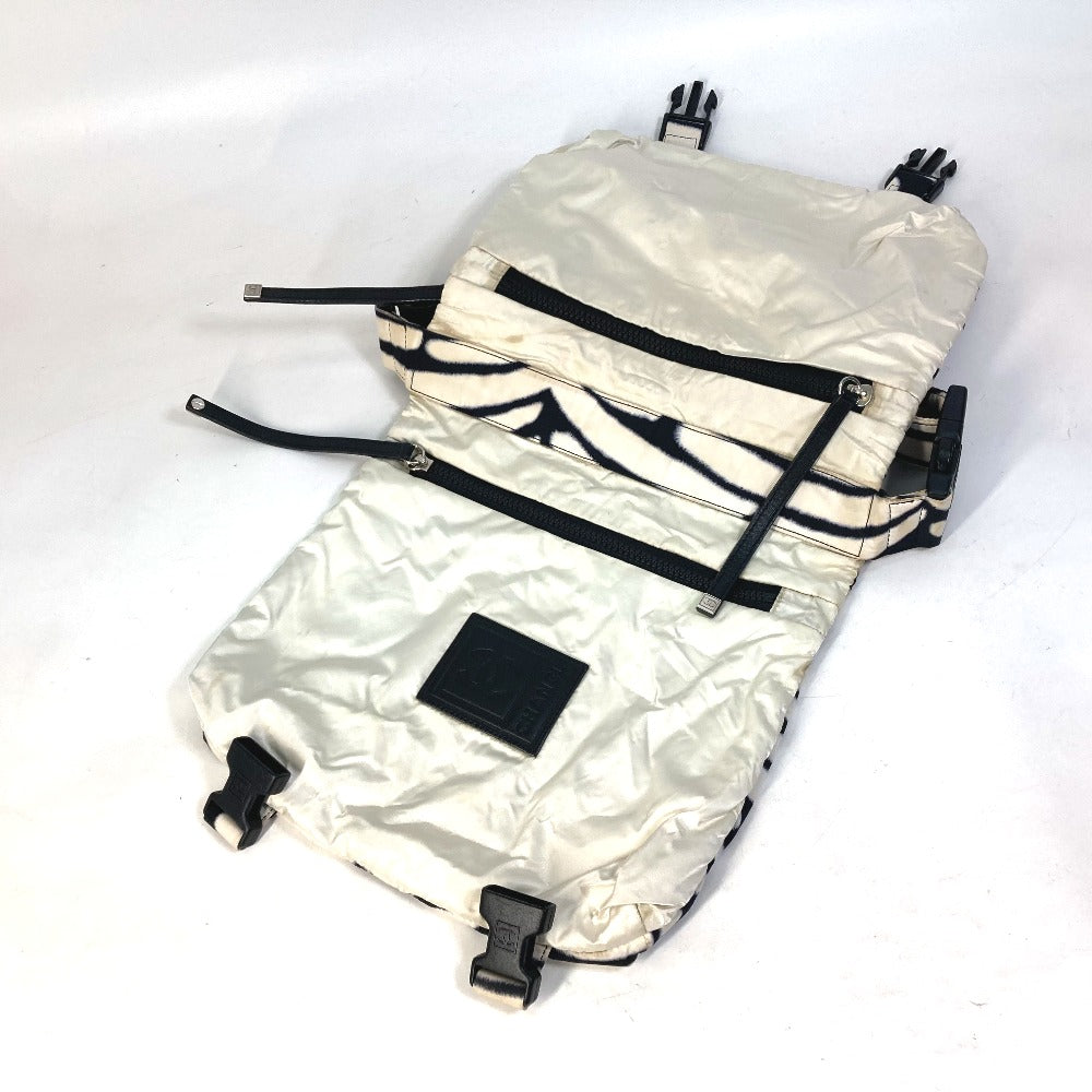 CHANEL Sport Zebra Print Crossbody Messenger Bag Shoulder Bag Nylon Women's Black