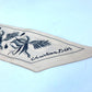 Dior Logo Mitza Bandeau Scarf, Silk, Women's, Beige