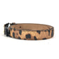 DOLCE &amp; GABBANA Logo Leopard Print Pants Belt for Women, Brown, PVC