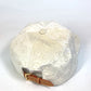 LOUIS VUITTON MP3421 Monogram Velvet Newsboy Cap, Men's, Brown White, Polyester