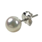 TASAKI K14 金 14K パール アクセサリー ジュエリー ピアス K14WG レディース シルバー