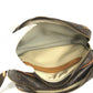LOUIS VUITTON M45254 Monogram ReporterPM Reporter PM Crossbody bag Shoulder Bag MonogramCanvas Brown Used