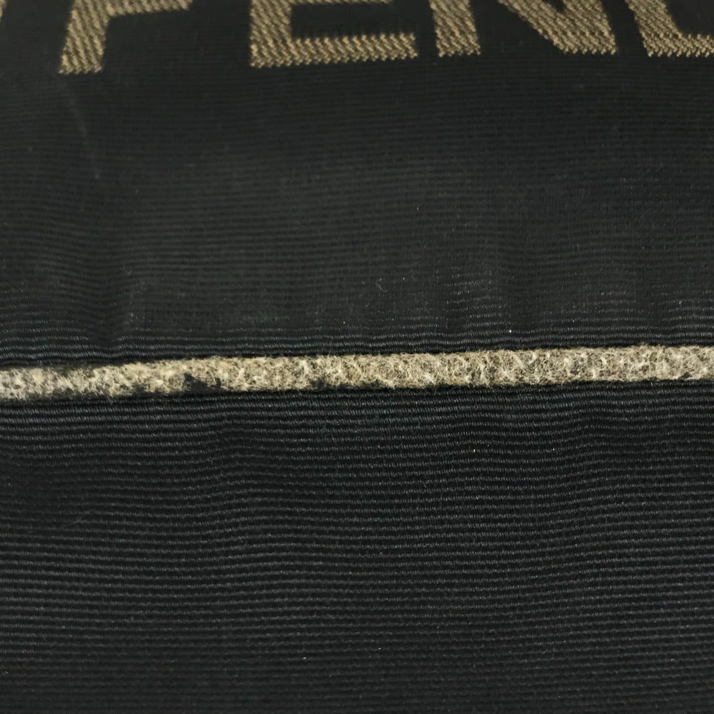 FENDI vintage logo Shoulder bag, vertical tote bag Hand Bag Nylon canvas Black Used