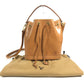 LOUIS VUITTON M43528 ノマド ミニ・ノエ 15周年記念 2WAYバッグ 斜め掛け バケツ型 ばけつ ハンドバッグ カバン ショルダーバッグ ノマドレザー ユニセックス ベージュ