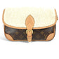 LOUIS VUITTON M46317 モノグラム ディアヌNM PM カバン 肩掛け トートバッグ ショルダーバッグ モノグラムキャンバス レディース ブラウン