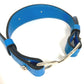 HERMES Pavane Dog Collar & Lead Set, Pair Accessories, Pet Dog, Collar, Leather, Unisex, Blue