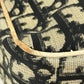 Dior Vintage Trotter Logo NO2 Bag Crossbody Pochette Shoulder Bag PVC/Canvas/Suede Unisex Black