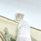 GUCCI Flora line Flowers Insects Fashion Accessories Apparel Floral Large Scarf Silk Women's Beige